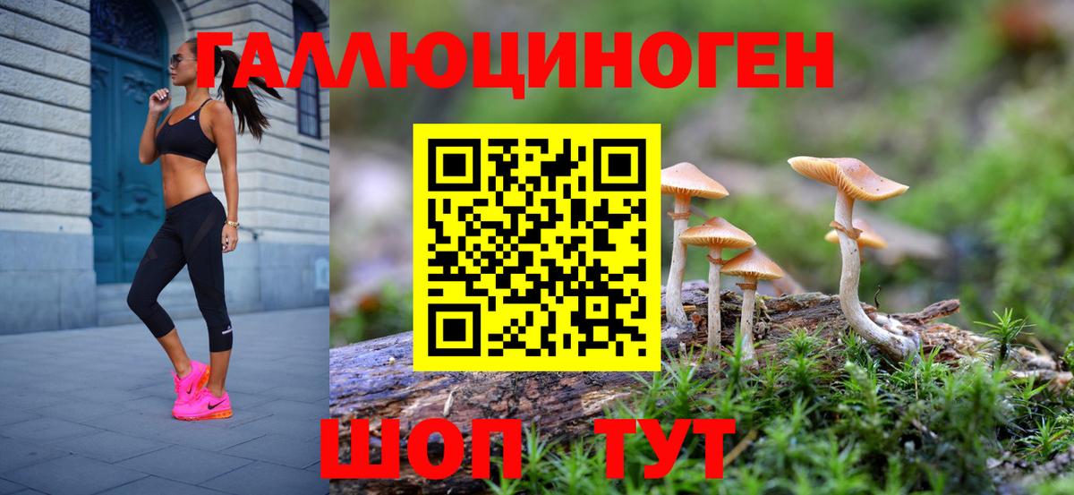 Галлюциногенные грибы прущие грибы Магнитогорск