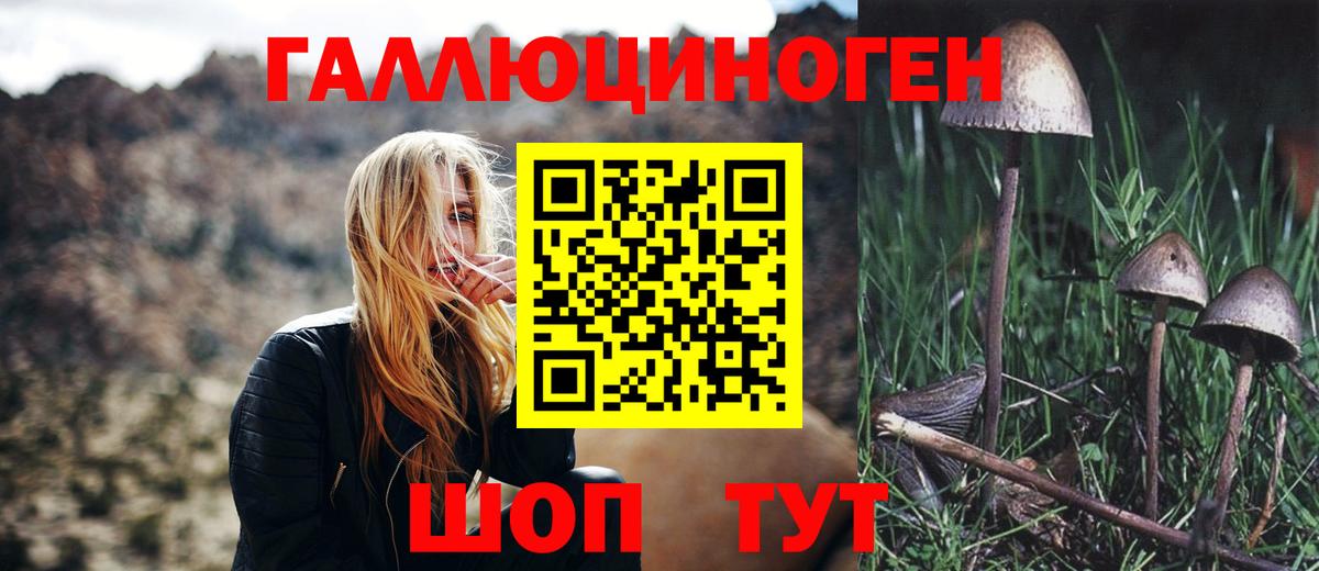Магнитогорск  Галлюциногенные грибы прущие грибы  как найти   Вход с VPN 