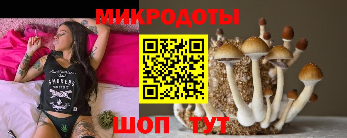APVP Магнитогорск